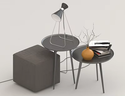 Modern Side Tables Featuring Round Top Metal Frame Lamp Vase Books And Gray Cube 3d model