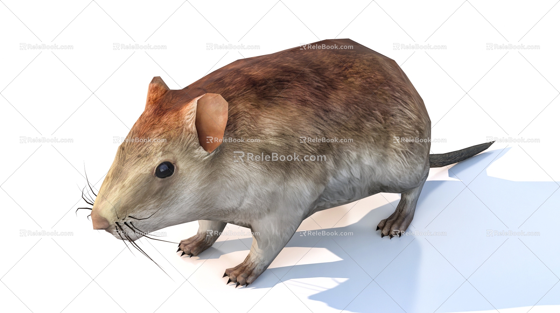 mouse animal 3d model