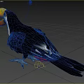 The toucan 3d model