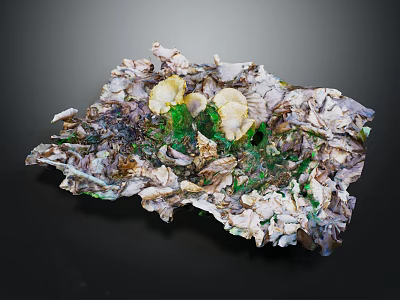 Artistic Vegetable Arrangement With Leafy Greens White Green Hues And Irregular Natural Shape 3d model