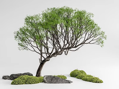 Lush Arbor Featuring Green Leaves Curved Trunk Rocks And Low Lying Plants 3d model