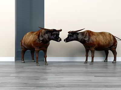 Two Brown Reptiles Standing Face To Face On Wooden Floor With Gray And White Walls 3d model