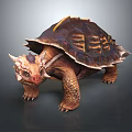 Reptile Tortoise With Unique Shell Yellow Stripes Horned Head And Sturdy Limbs