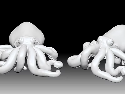 Two Detailed White Octopus Models with Lifelike Tentacles on Black Background 3d model