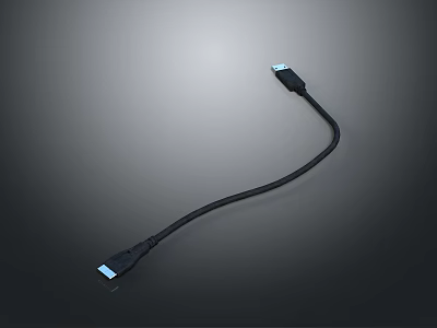 Black USB Data Transfer Cable With Dual End Connectors For Device Connection 3d model