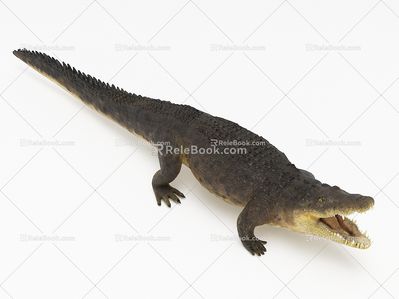 Modern Crocodile 3d model