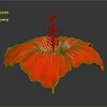 Red Hibiscus Flower With Large Petals Green Stem And Yellow Stamens