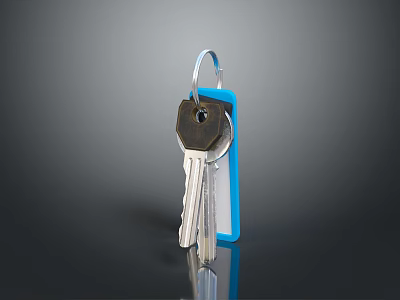 Silver Metallic Keys With Blue Keychain On Dark Reflective Surface 3d model
