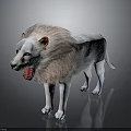 Realistic White Lion Standing with Open Mouth and Fluffy Mane on Dark Reflective Surface