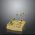 Small Green Plants Growing on Sandy Platform with Rocks in Desert Miniature Scene