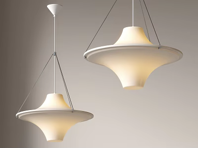 Two Modern Pendant Lights with Contemporary Design Hanging in Interior Space 3d model