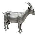 Goat Sheep 3d model