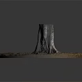 Natural Wooden Stump On Stone Platform With Exposed Roots And Green Grass