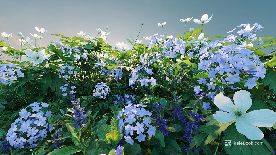 Lush Outdoor Flowers And Plants With White Blue Blooms And Green Leaves 3d model 