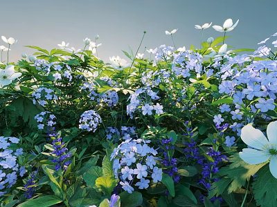Lush Outdoor Flowers And Plants With White Blue Blooms And Green Leaves 3d model