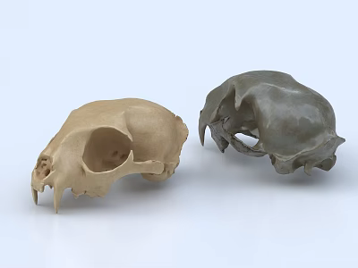 Artistic Hand Carved Animal Skull Sculptures in Brown and Gray Tones 3d model