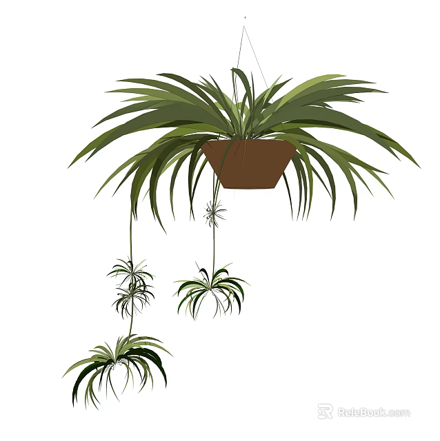 Hanging Basket Plant With Long Leaves Brown Pot And Hanging Baby Plants 3d model 