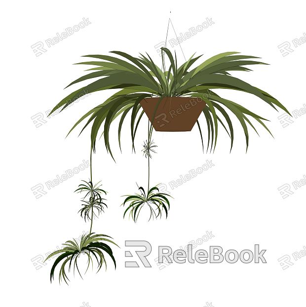 Modern hanging basket hanging plant green plant hanging basket potted plant model