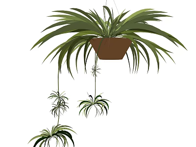 Hanging Basket Plant With Long Leaves Brown Pot And Hanging Baby Plants 3d model