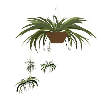 Modern hanging basket hanging plant green plant hanging basket potted plant 3d model