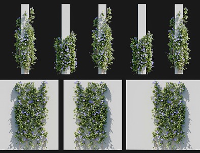 Modern Clematis Vine Climbing Wall Shrub Morning glory Wall Green Plant Wall Climbing Vine Green Plant Flower Wall Green Plant Wall Iron Wire Peony Lotus Gold Package Silver 3d model