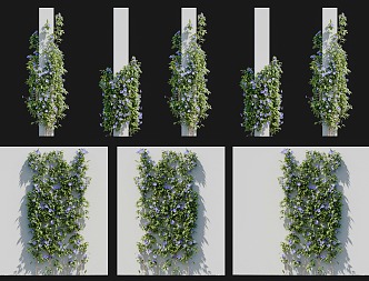 Modern Clematis Vine Climbing Wall Shrub Morning glory Wall Green Plant Wall Climbing Vine Green Plant Flower Wall Green Plant Wall Iron Wire Peony Lotus Gold Package Silver 3d model