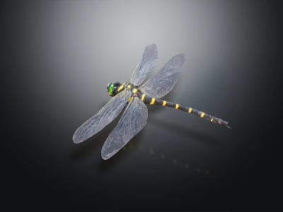 Dragonfly With Green Eyes Black Yellow Striped Body Transparent Wings On Dark Background With Reflection 3d model