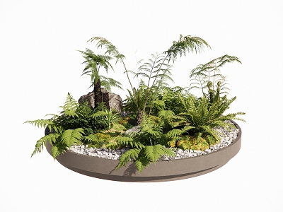 Pteridophyte Landscape Plant Bonsai Moss Kidney Fern Apple Fern Landscape Grass Landscape Gravel Round Ecological Landscape Pool Foxtail Asparagus 3d model