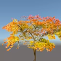 Beautiful Autumn Arbor With Lush Colorful Red Orange Yellow Purple Foliage
