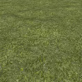 Lush Green Grass Field With Sunlight And Natural Shadow Patterns 3d model