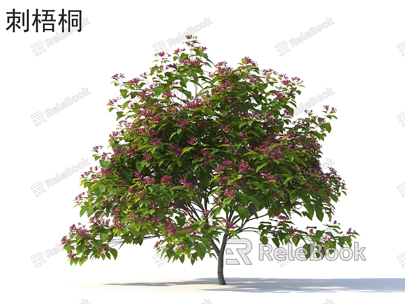 thorn sycamore flowers shrub plants model