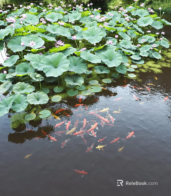 Garden Water Feature With Lotus Leaves Flowers And Swimming Koi Fish 3d model 