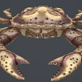 Spotted Brownish Yellow Crab With Red Tipped Legs And Spread Out Posture As Aquatic Animal