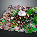 Artistic Pile of Colorful Mixed Vegetables with Mushroom and Green Leaves on Dark Background