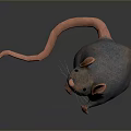 Cartoon Mouse Animated Mouse Grey Mouse Anime Mouse Cartoon Character 3d model