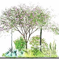 Vibrant Shrub With Purple Flowers Accompanied By Green Herbs Pink Blooms And Other Plants