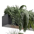 Decorative Bonsai Potted Plants With Layered Hanging Greenery In Black Containers