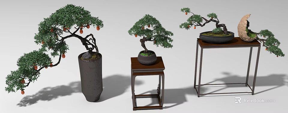 Three Stylish Bonsai Garden Ornaments With Ceramic Pots And Wooden Stands 3d model 