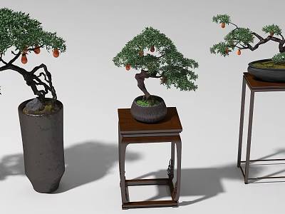Three Stylish Bonsai Garden Ornaments With Ceramic Pots And Wooden Stands 3d model