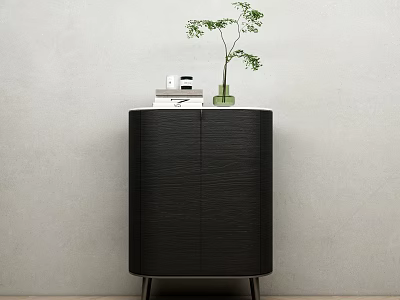 Black Modern Sideboard With Wooden Cabinet Metal Legs And Top Decorative Books Green Vase Plant 3d model