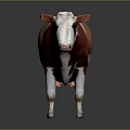 Brown And White Cow Standing On Dark Background With Natural Color Pattern