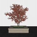 Square Stone Tree Planter with Red Leaf Tree and Black Ground 3d model