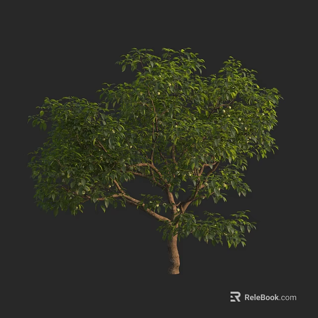 Lush Green Arbor With Dense Foliage And Strong Trunk In Natural Setting 3d model 