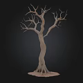 Leafless Tree with Twisted Trunk Bare Branches and Exposed Root Base on Dark Background