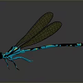 3D Rendered Dragonfly With Black Blue Body And Transparent Wings