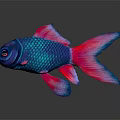 Vibrant Blue And Pink Tropical Fish With Colorful Fins Tail And Body