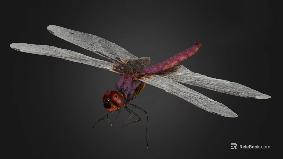Purple Dragonfly With Red Eyes And Transparent Wings On Black Background 3d model 