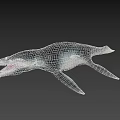 Realistic Aquatic Animal With Long Snout Sharp Teeth Large Fins And Streamlined Body Model