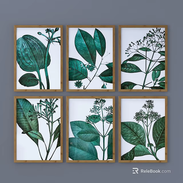 Botanical Prints Set of Six Green Leaf Plant Illustrations in Wooden Frames 3d model 