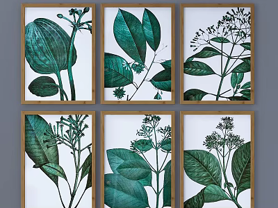 Botanical Prints Set of Six Green Leaf Plant Illustrations in Wooden Frames 3d model